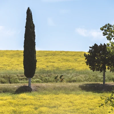 toscana val d_orcia 13